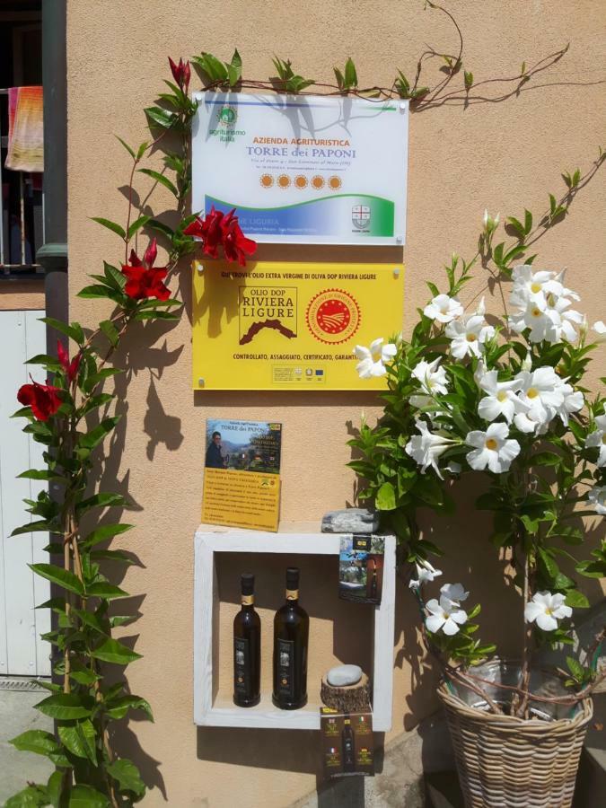 Loft Al Mare Villa San Lorenzo al Mare Exterior photo